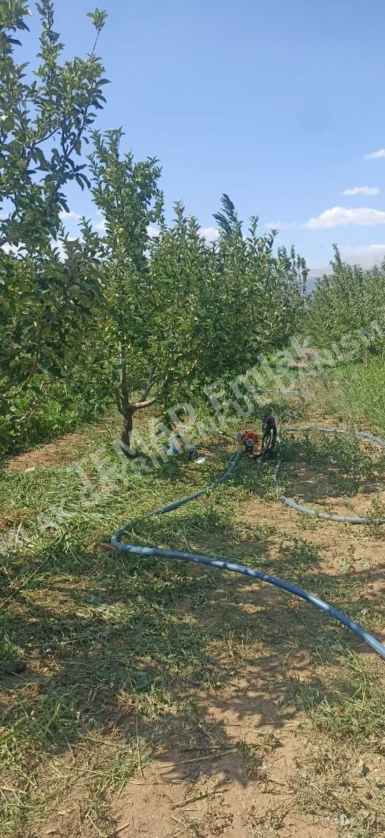 Fotoğraf