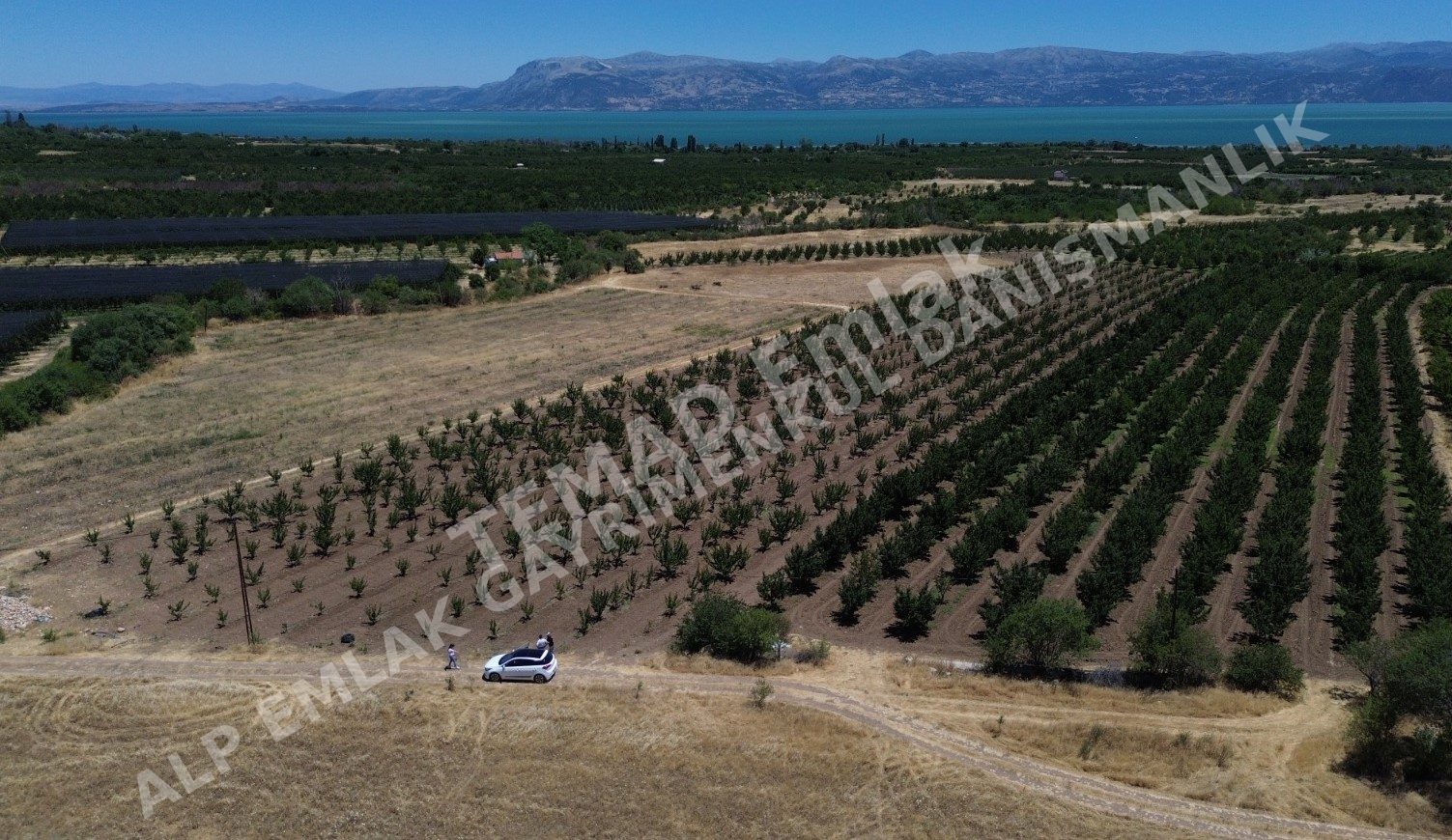 Fotoğraf