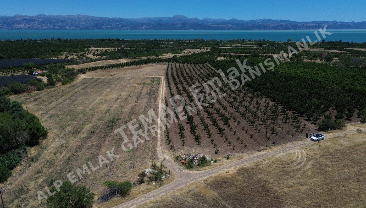 Fotoğraf