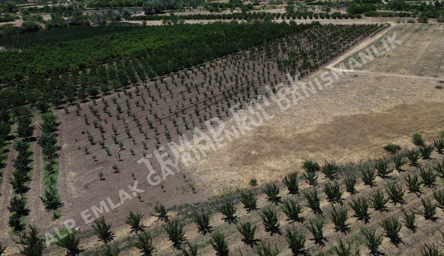 Fotoğraf