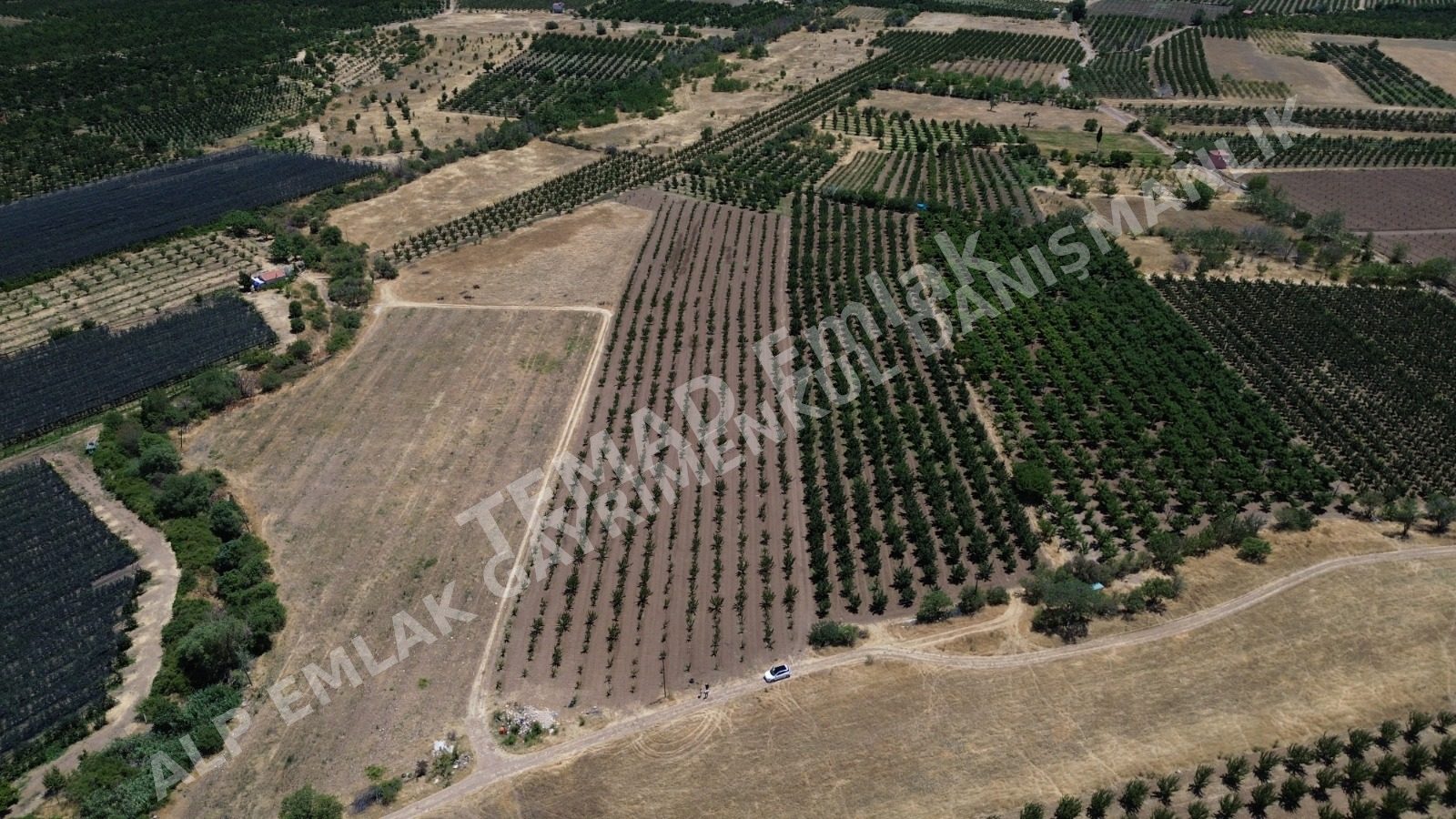 Fotoğraf