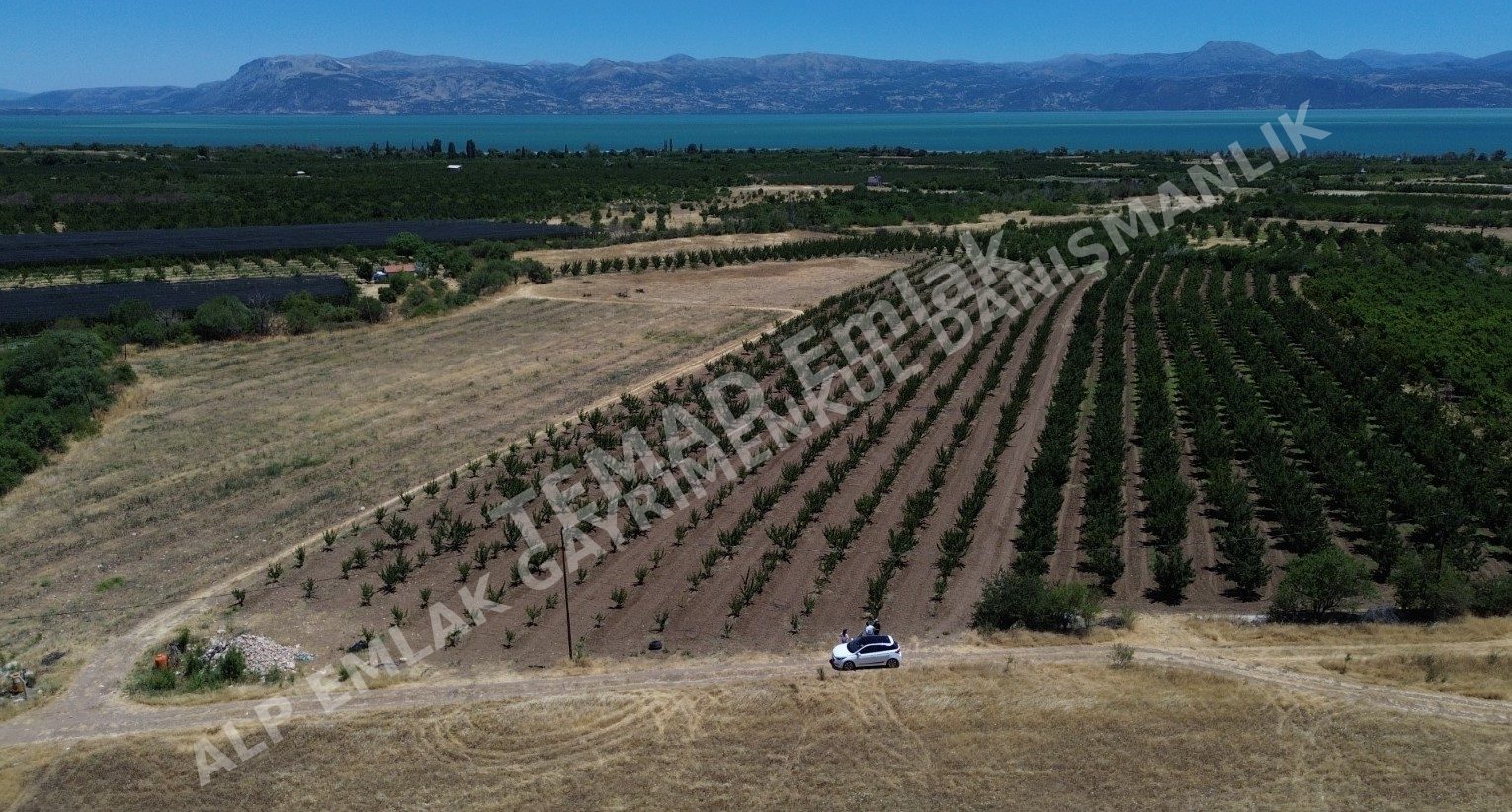 Fotoğraf