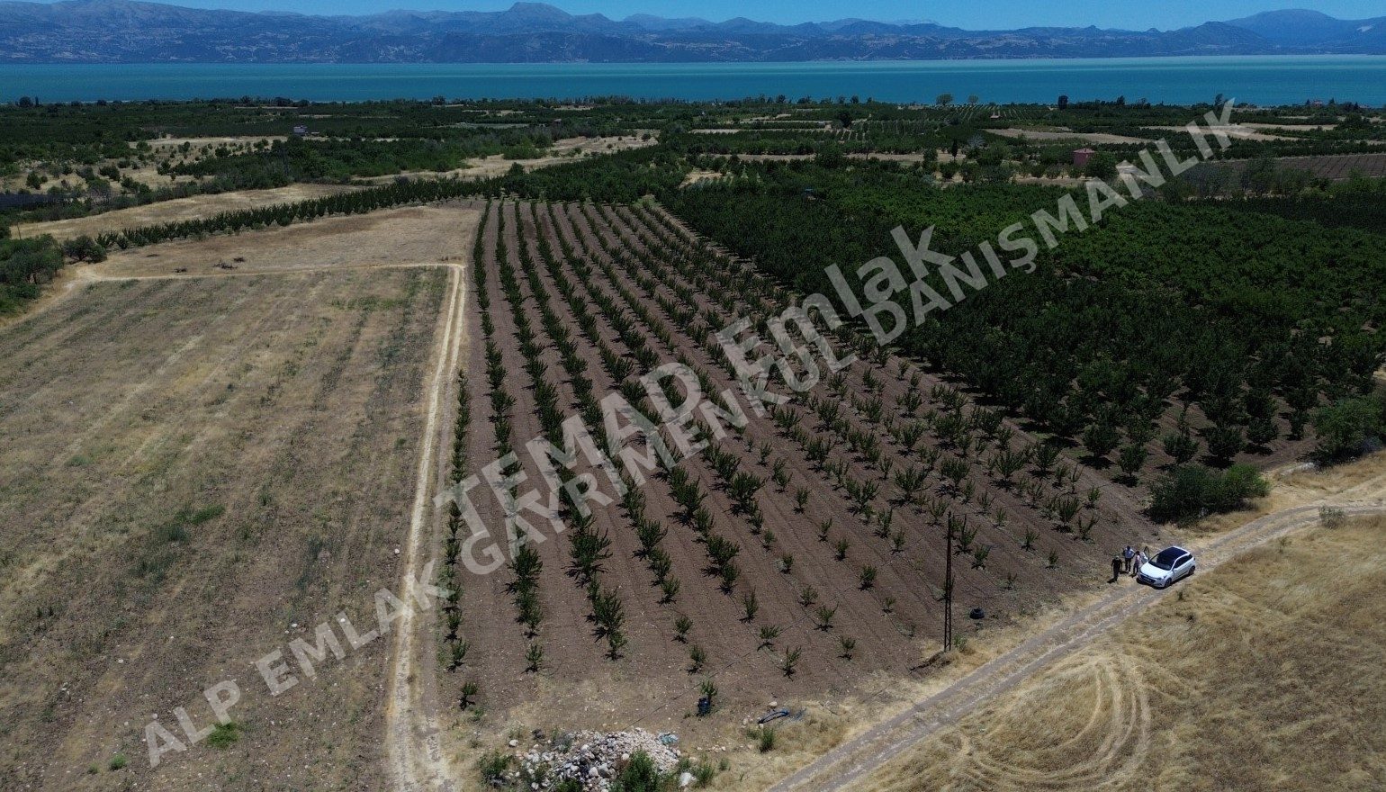Fotoğraf