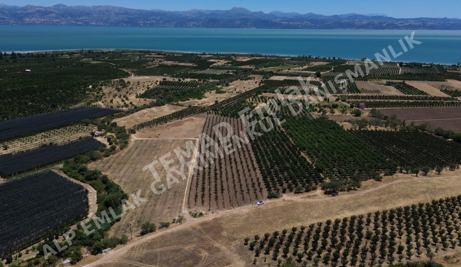 Fotoğraf