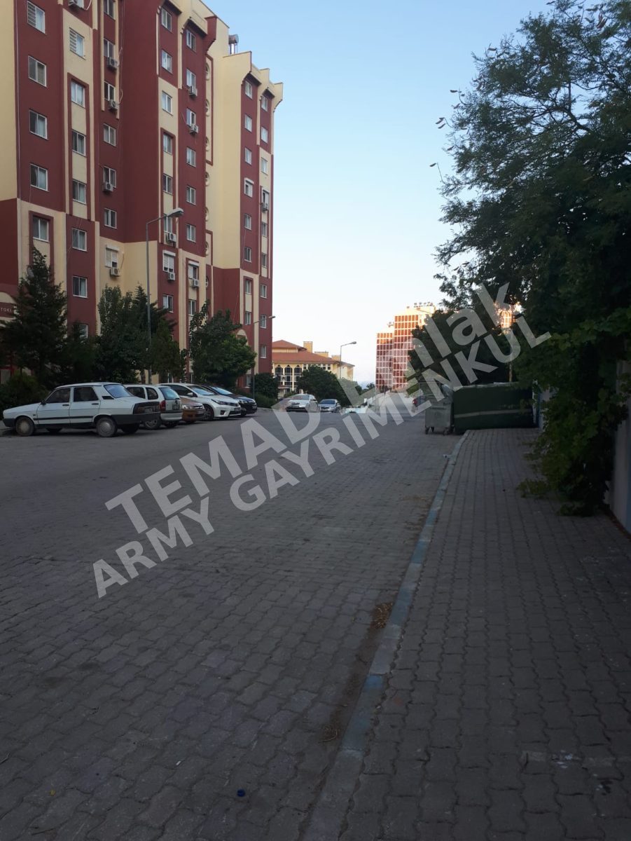 Fotoğraf