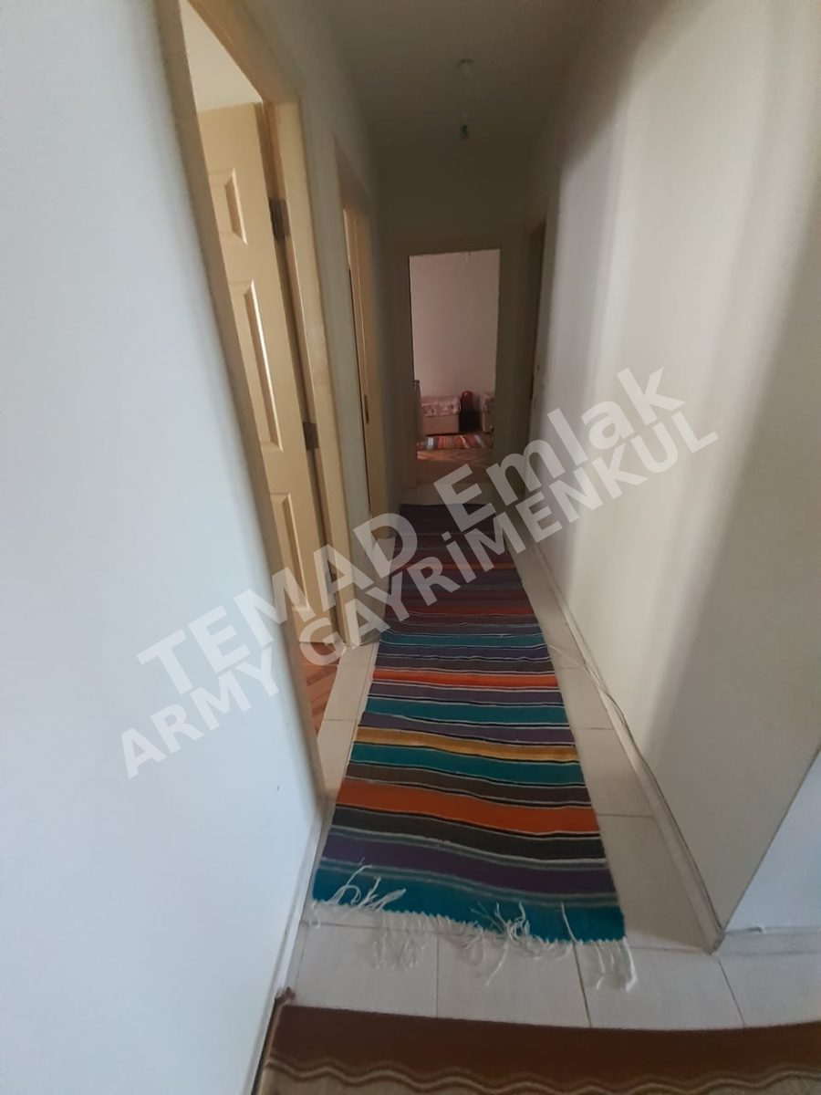 Fotoğraf