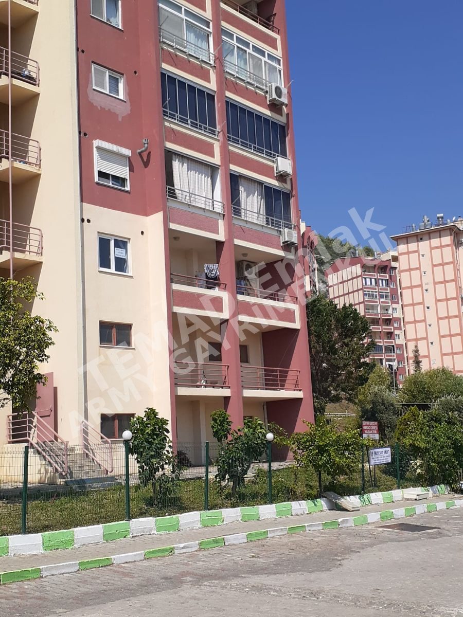 Fotoğraf