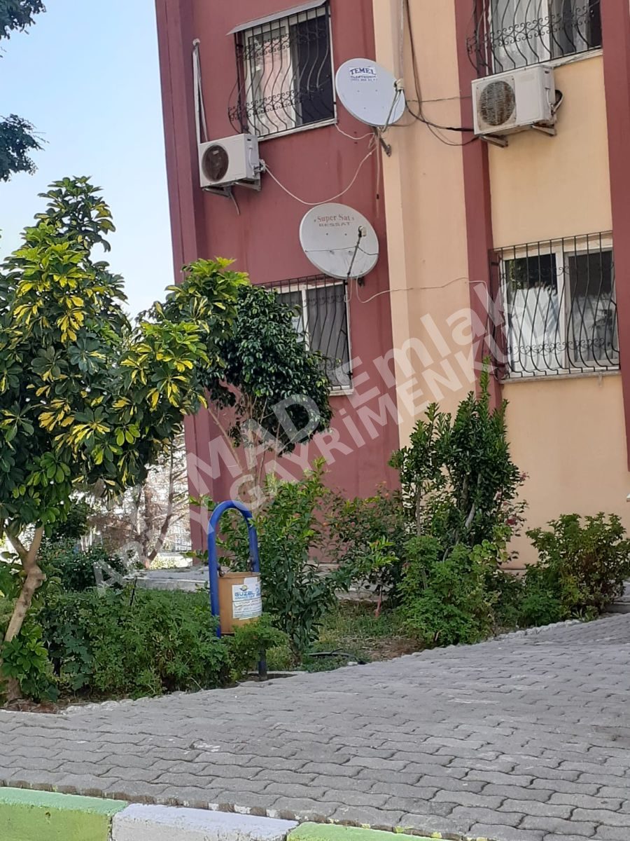 Fotoğraf