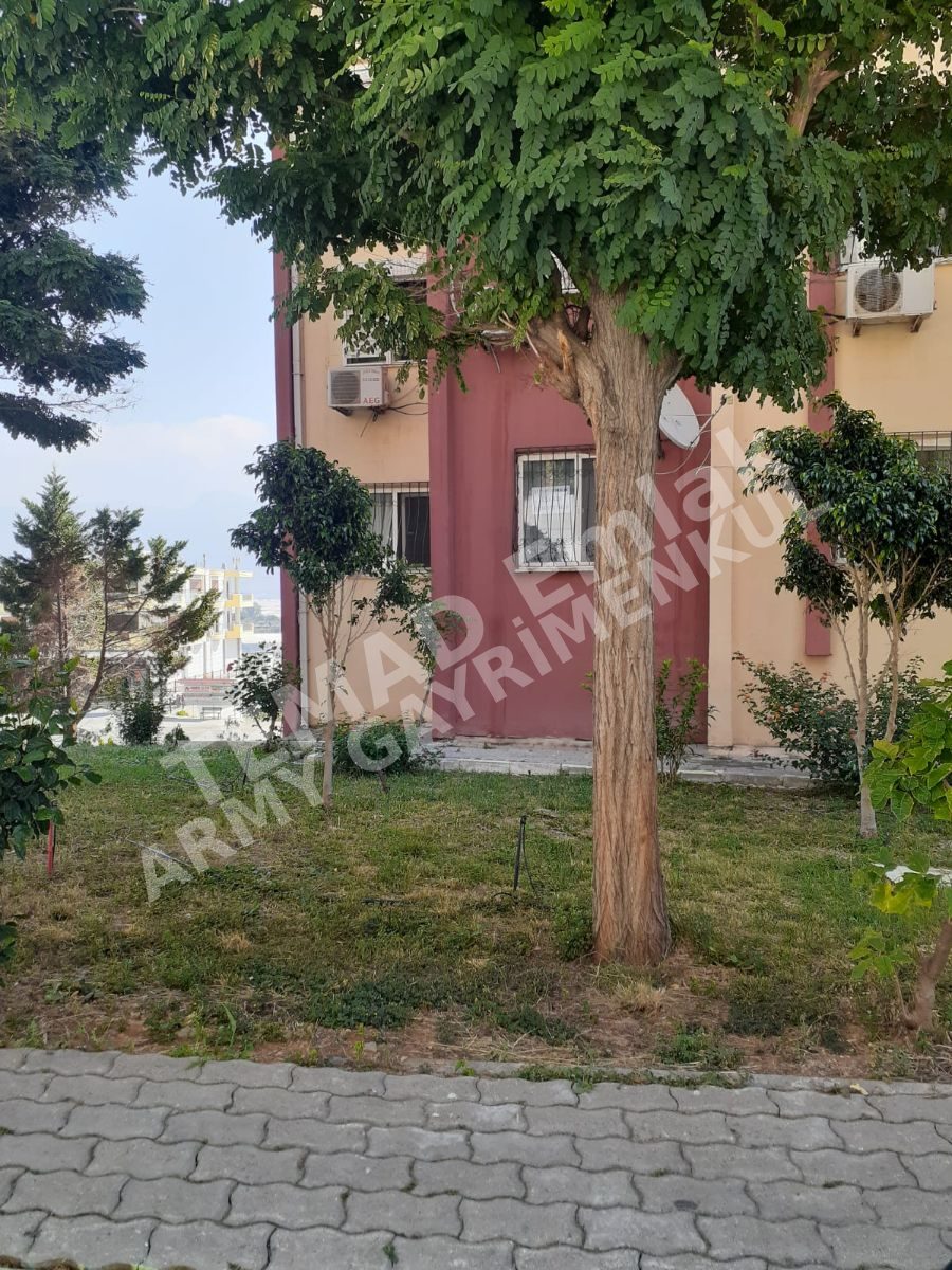 Fotoğraf