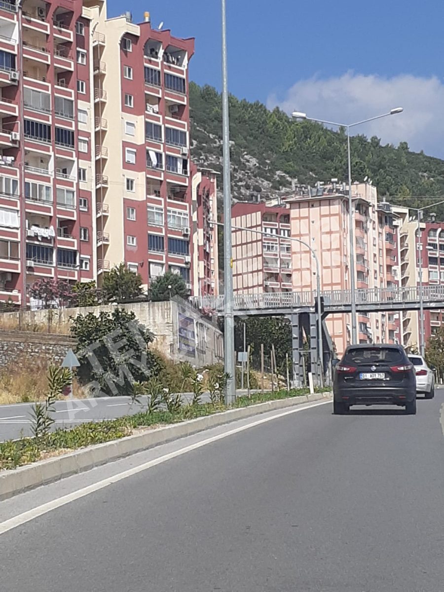 Fotoğraf
