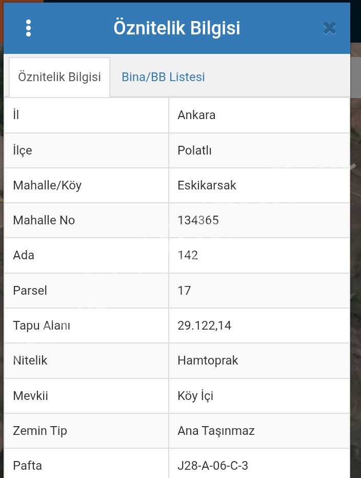 Fotoğraf