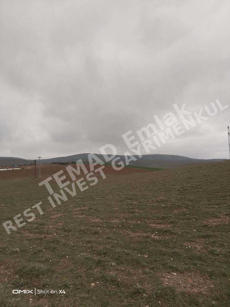 Fotoğraf