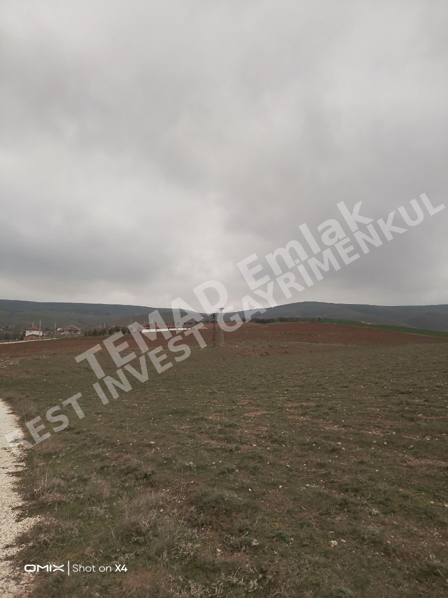 Fotoğraf