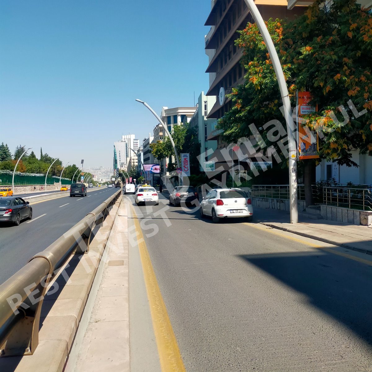 Fotoğraf