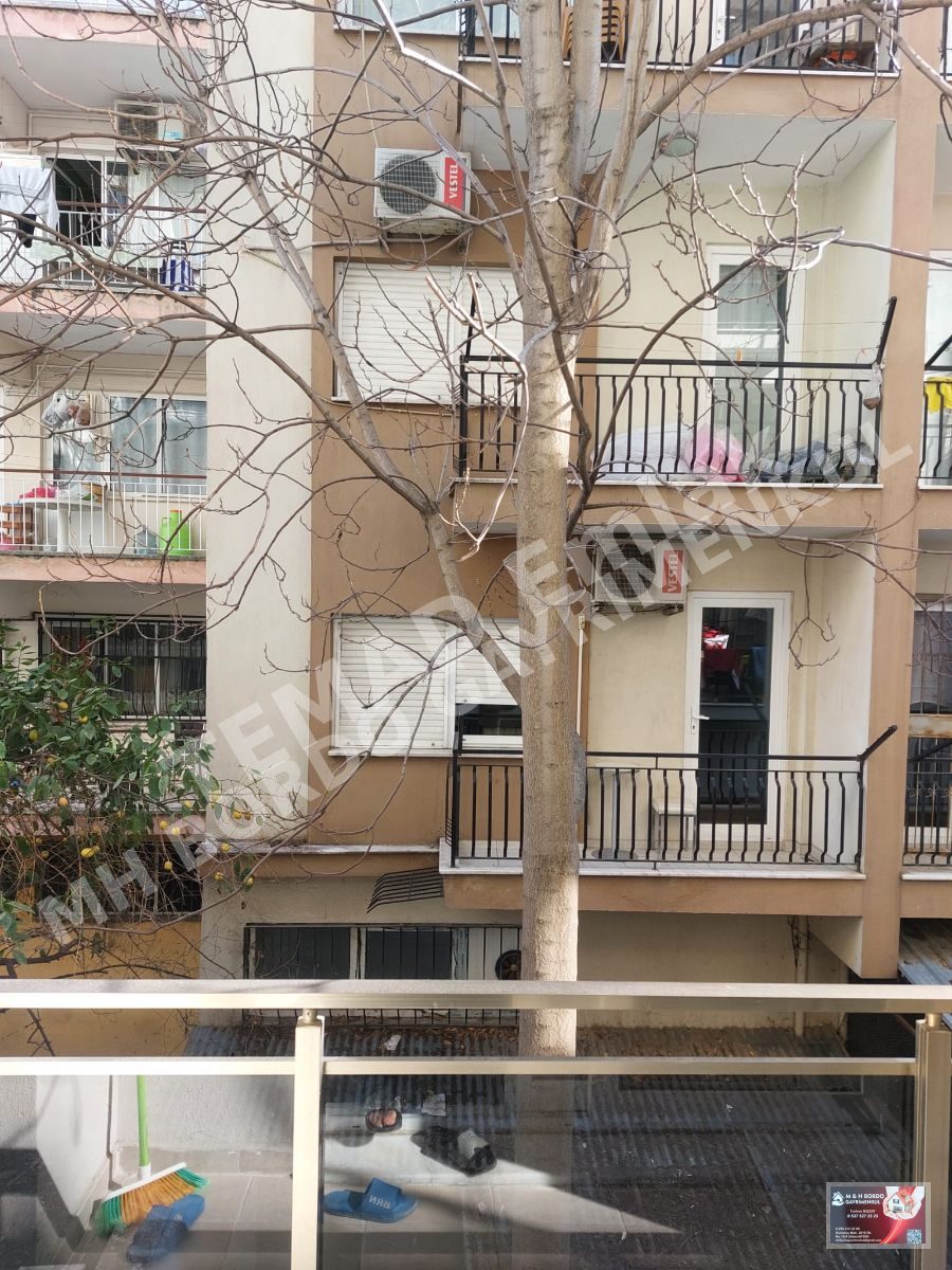 Fotoğraf