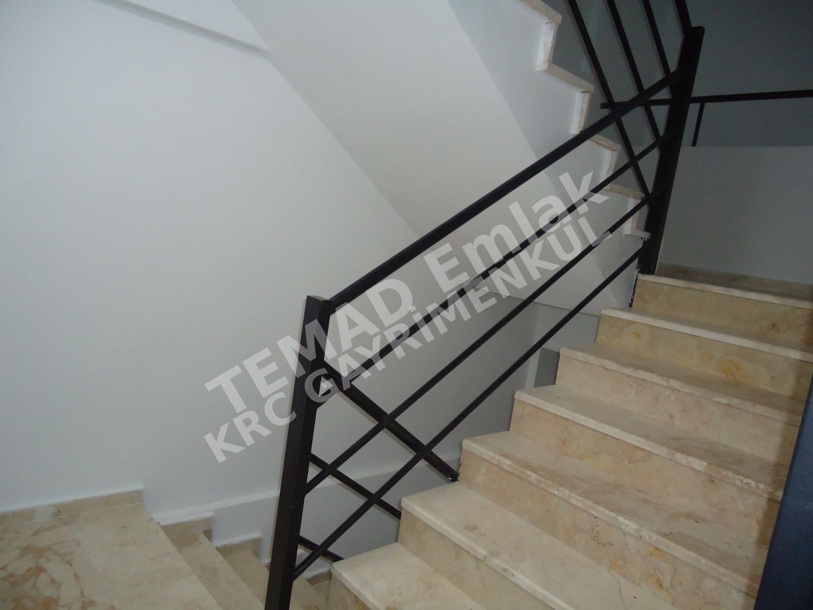 Fotoğraf