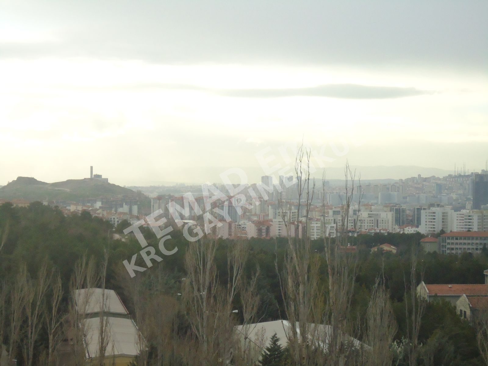 Fotoğraf