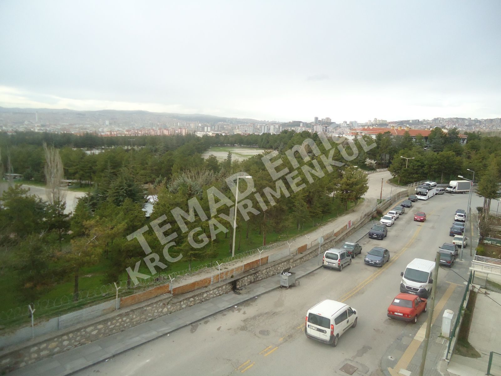Fotoğraf