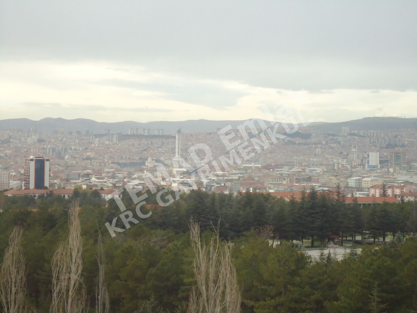 Fotoğraf