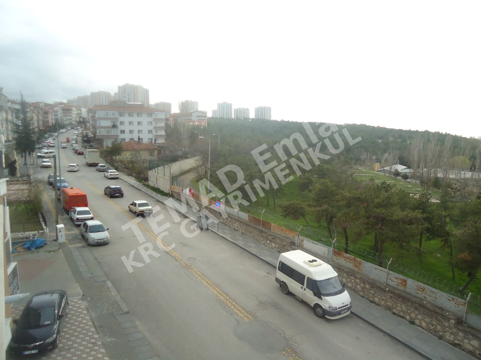 Fotoğraf