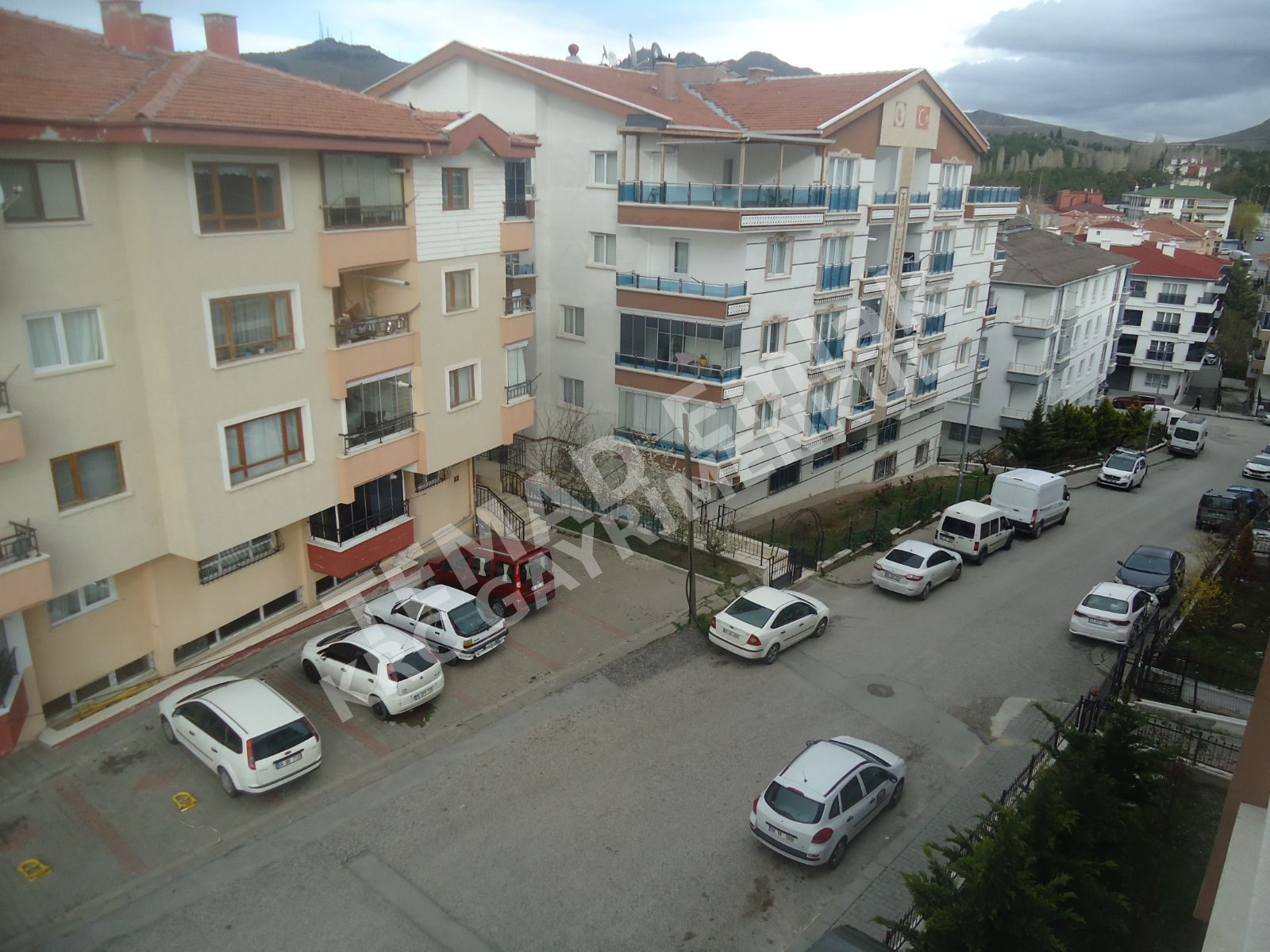 Fotoğraf