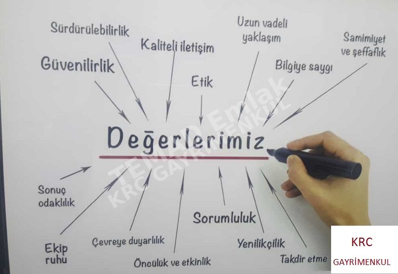Fotoğraf