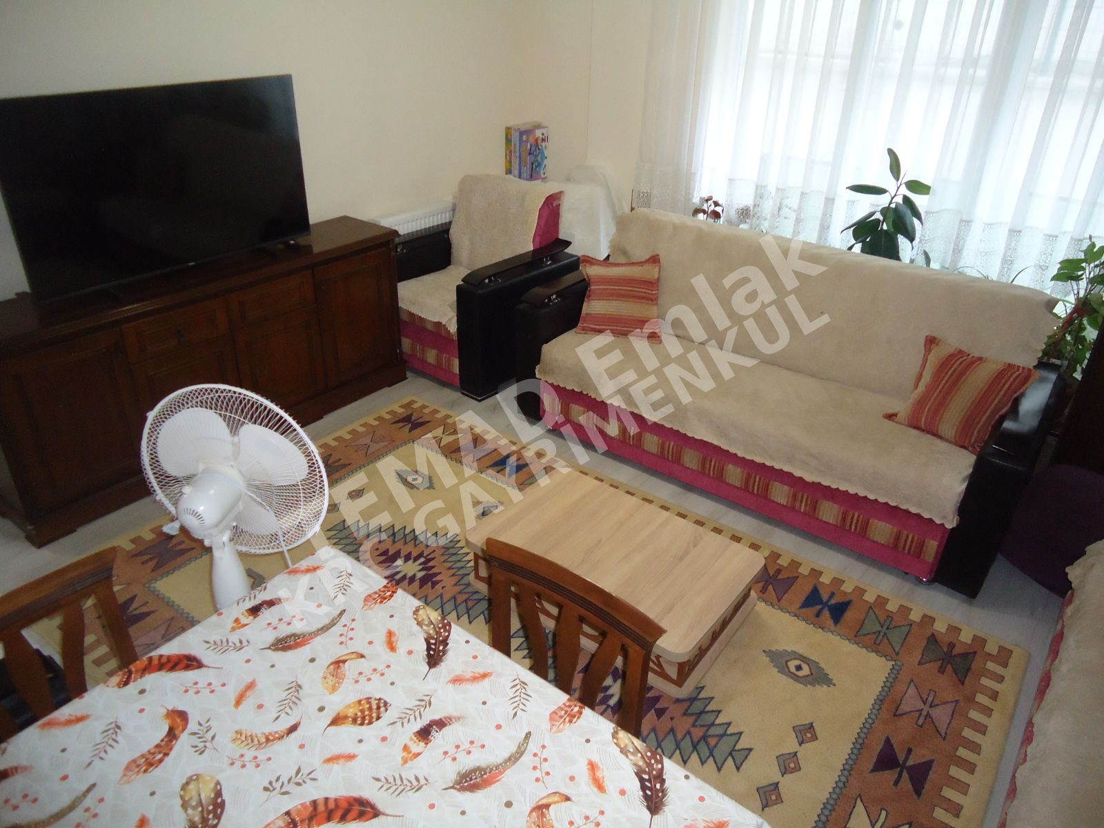 Fotoğraf
