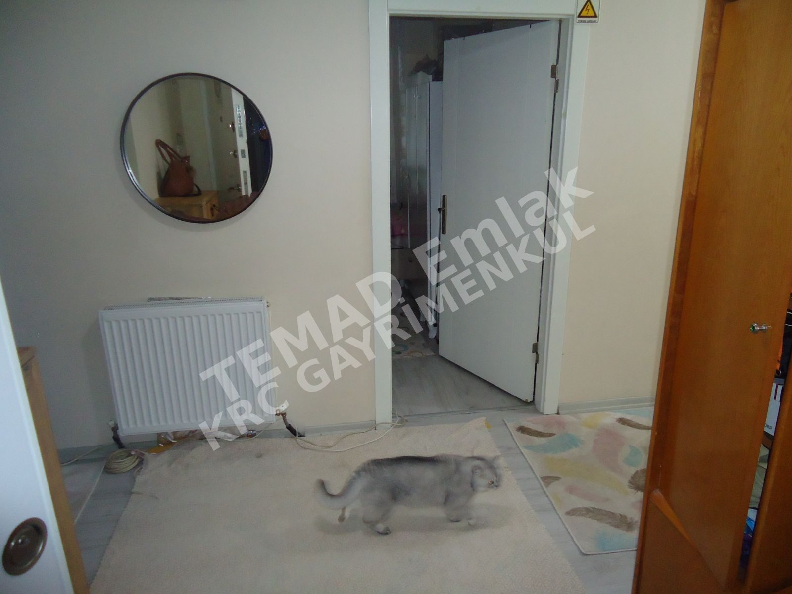 Fotoğraf