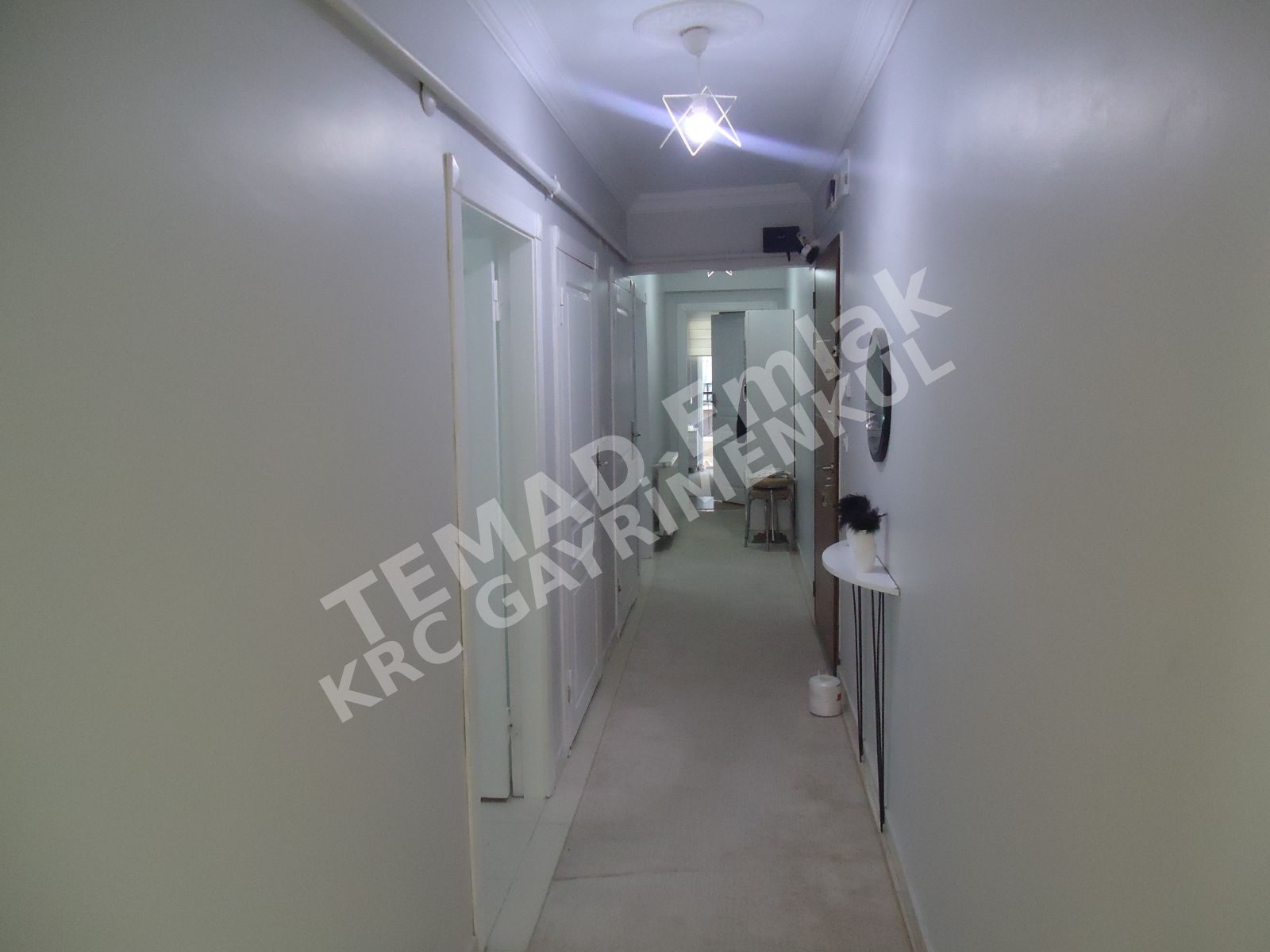 Fotoğraf