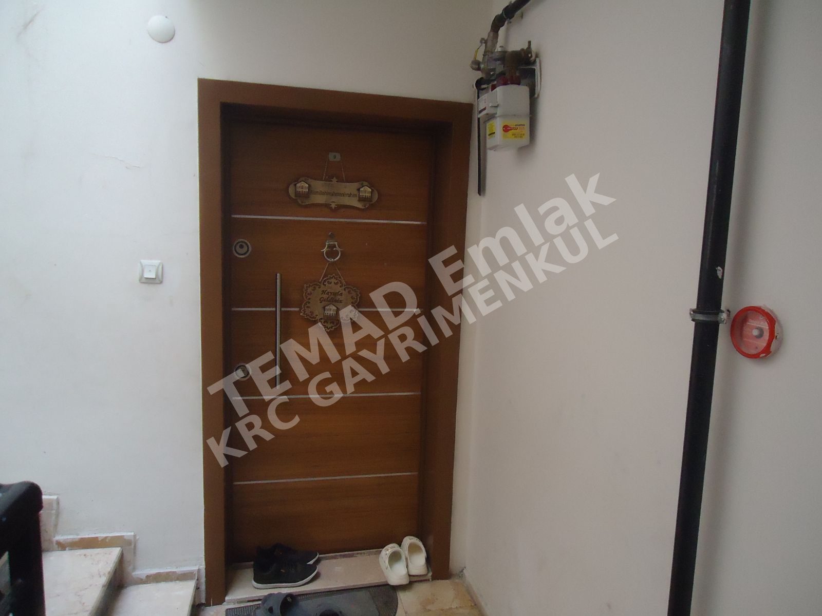 Fotoğraf