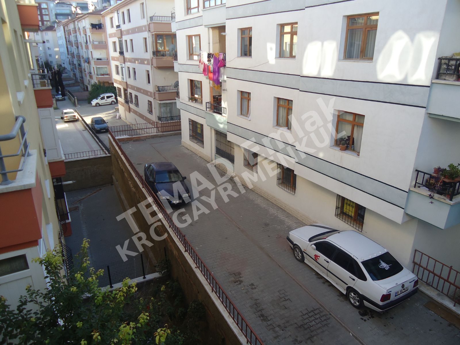 Fotoğraf