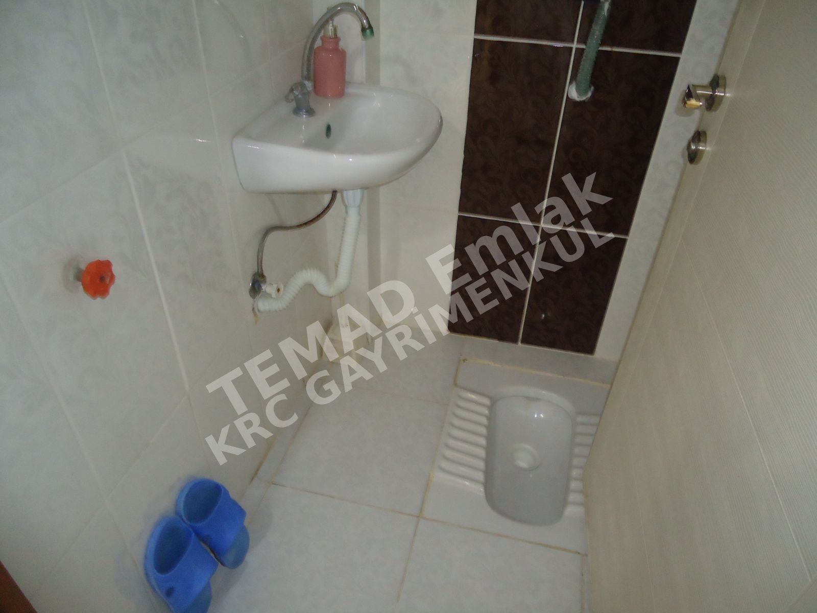 Fotoğraf
