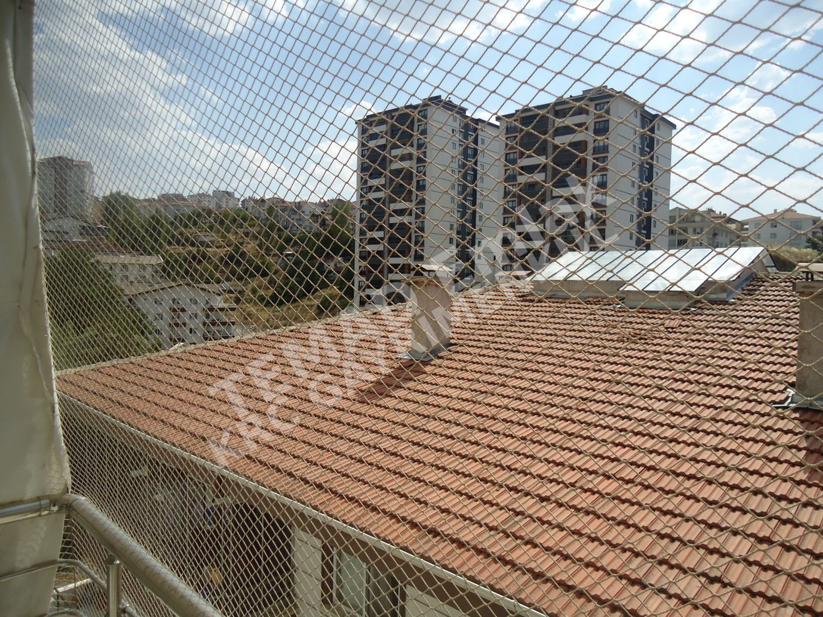 Fotoğraf