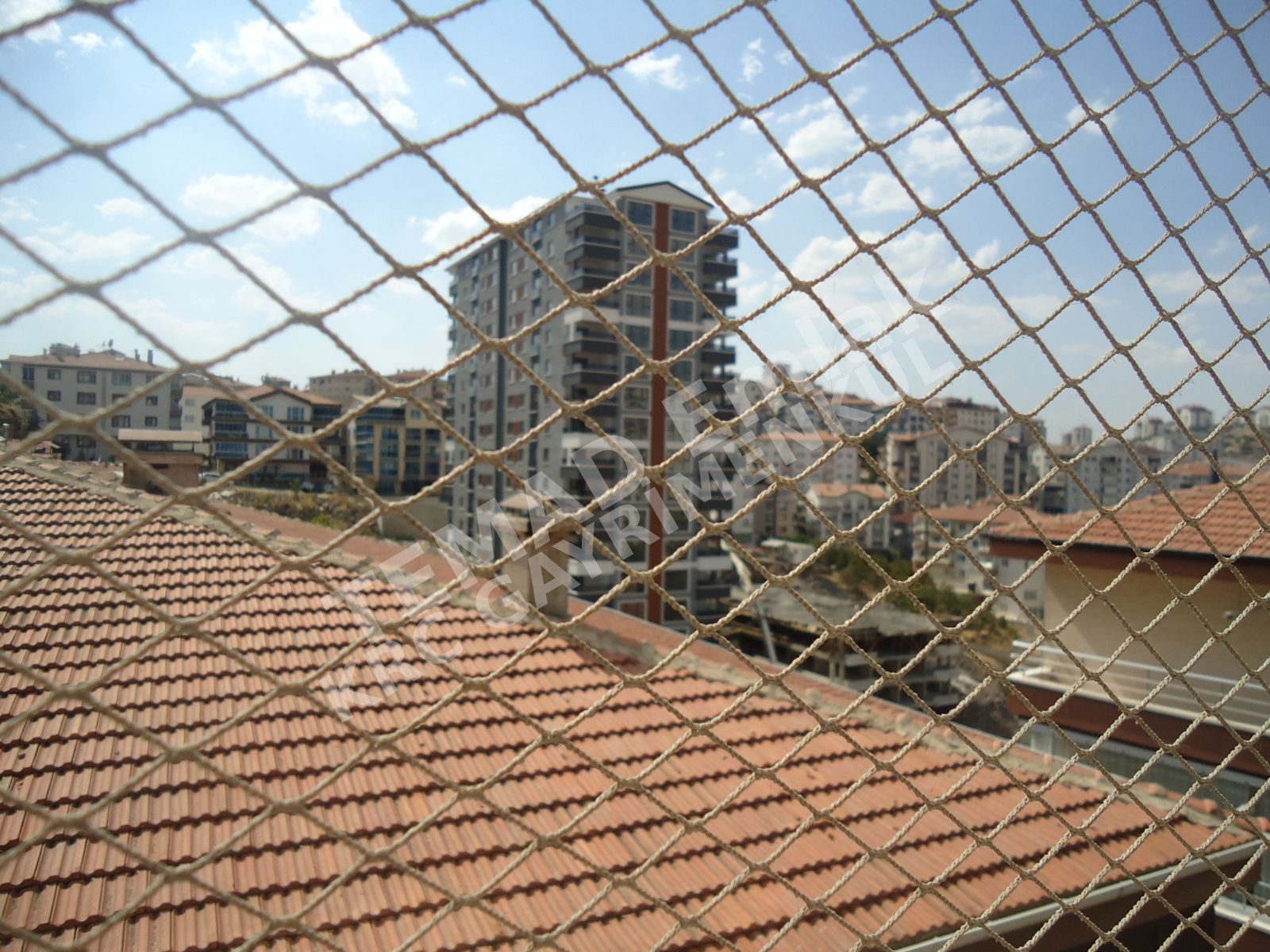 Fotoğraf