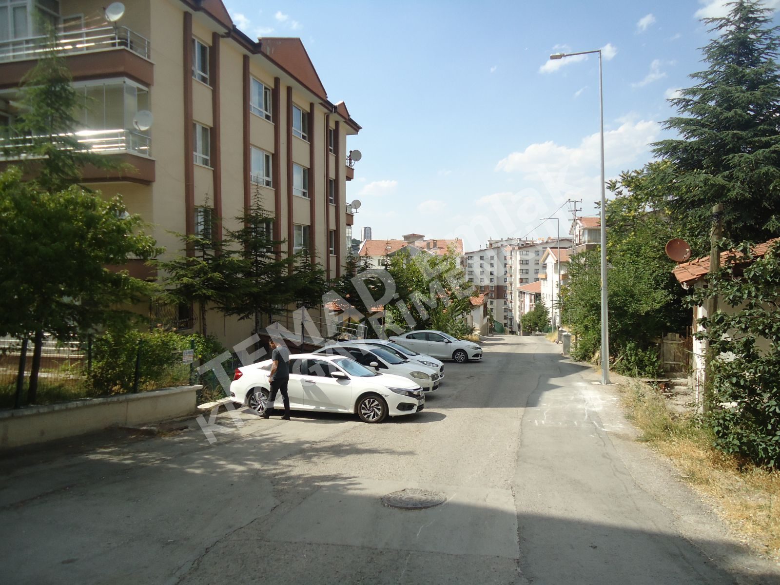 Fotoğraf