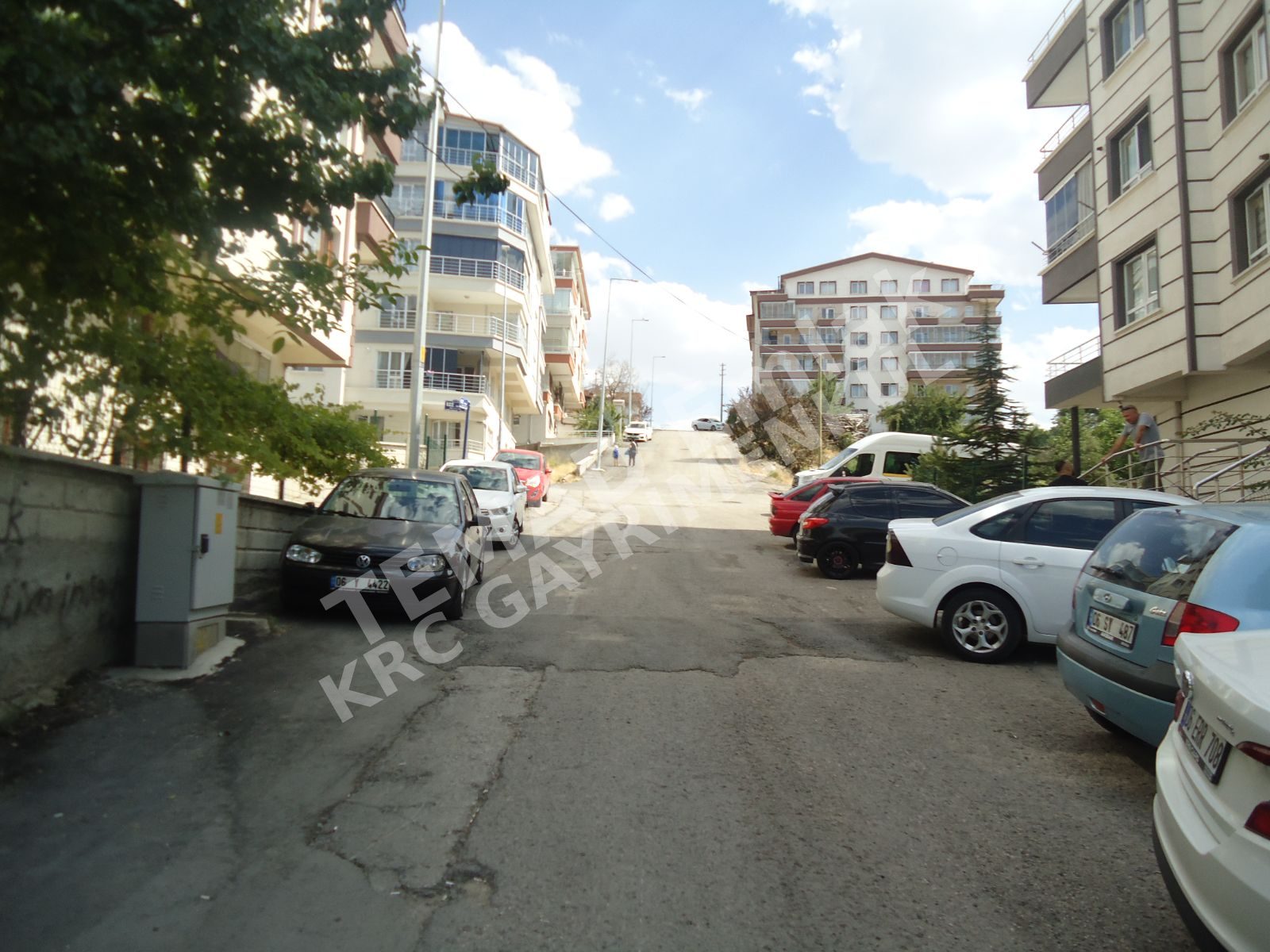 Fotoğraf