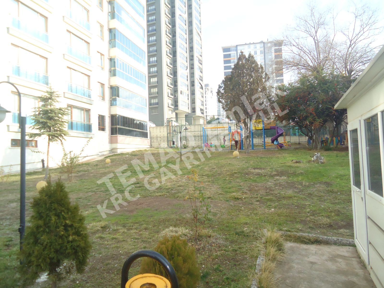 Fotoğraf