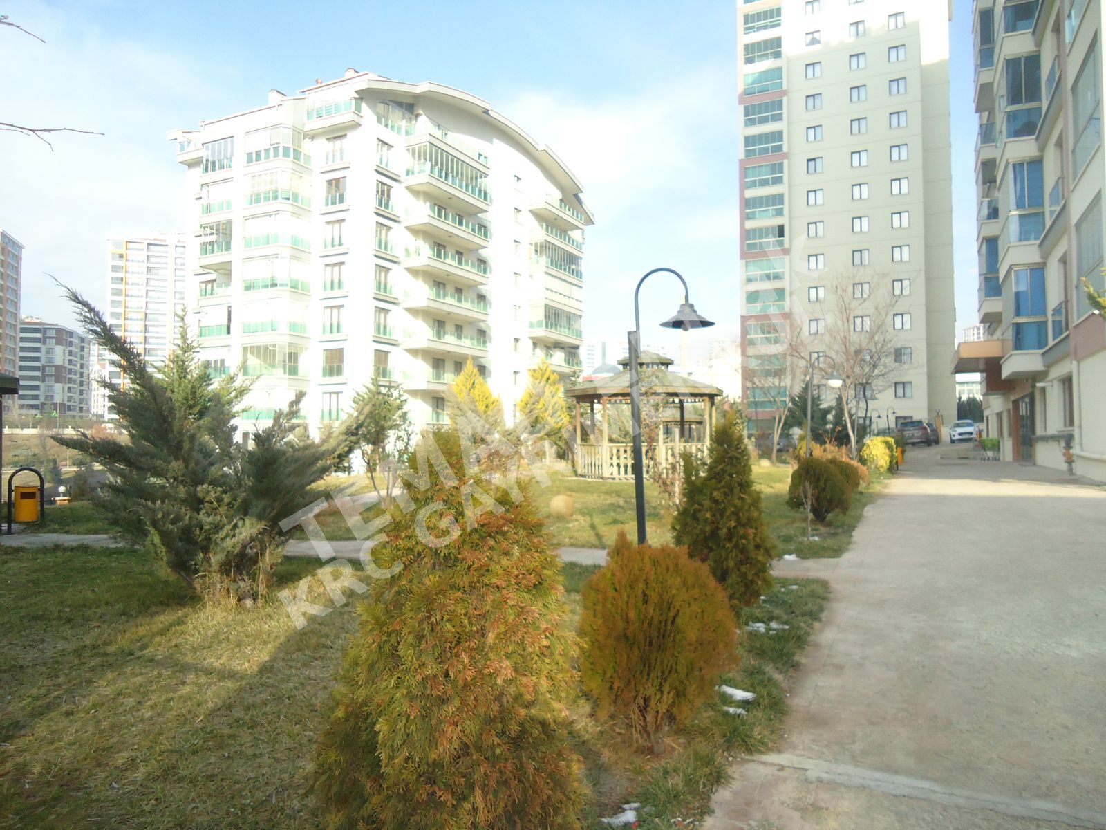 Fotoğraf