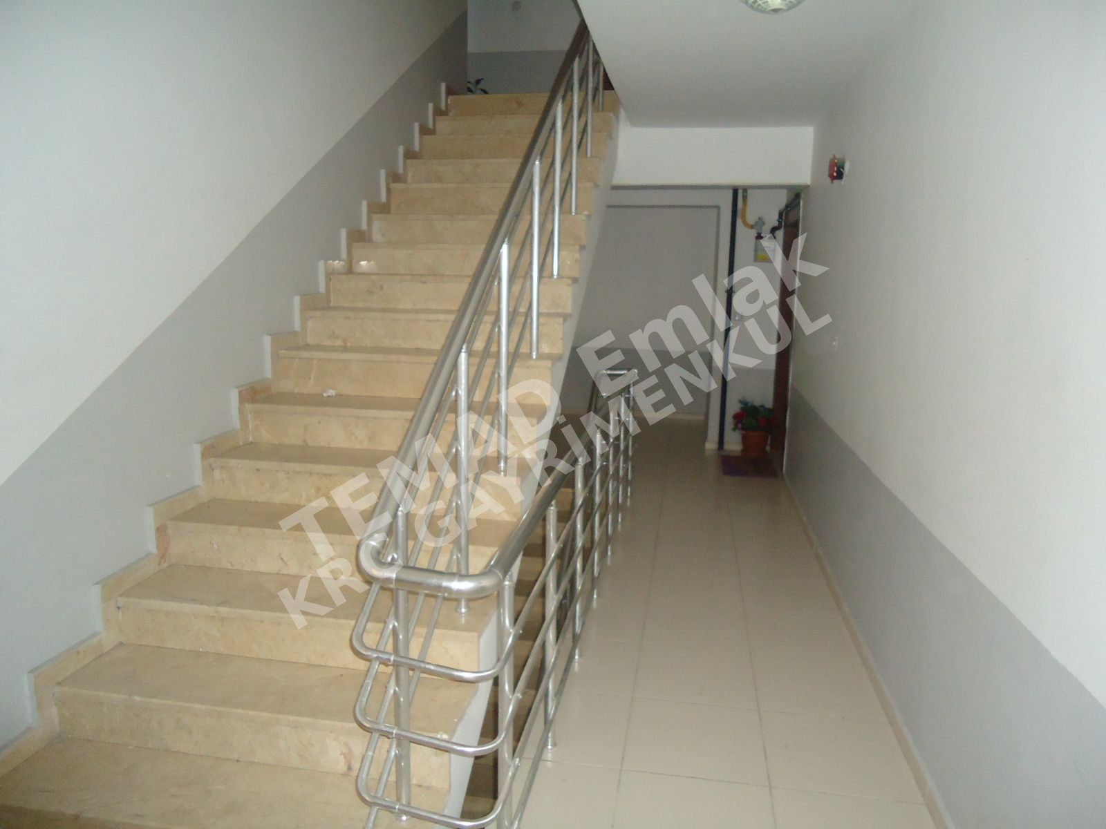Fotoğraf