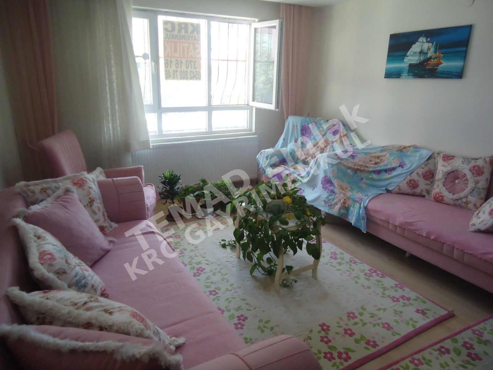 Fotoğraf