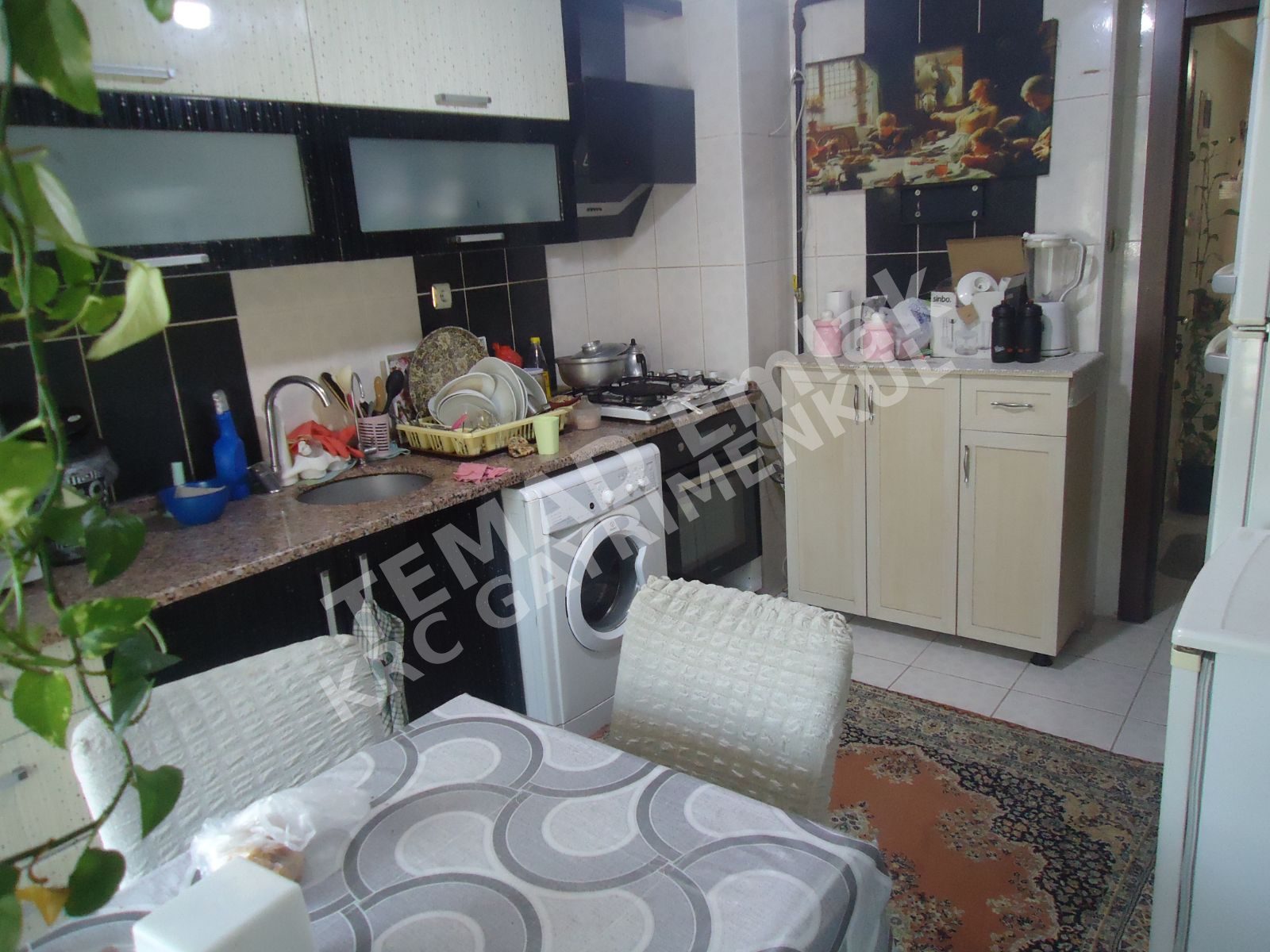 Fotoğraf