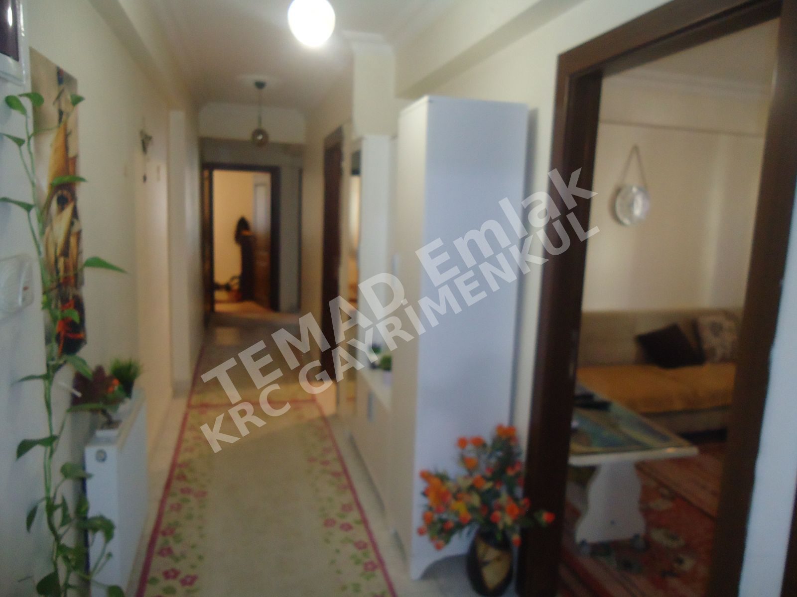 Fotoğraf