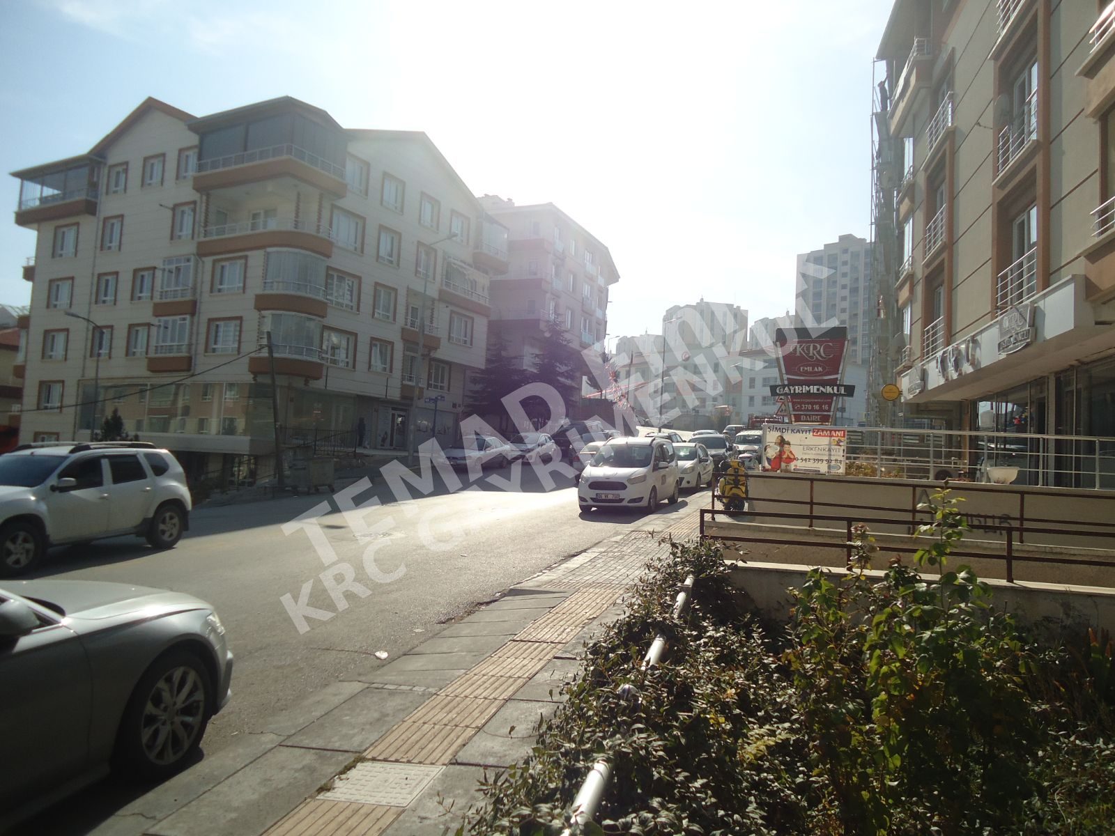 Fotoğraf