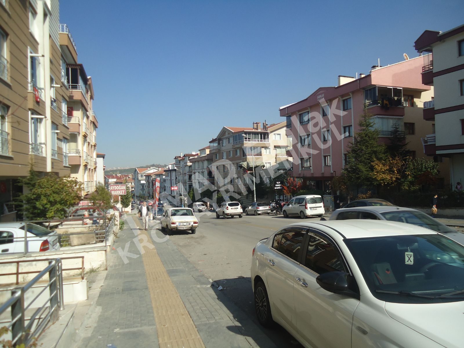 Fotoğraf