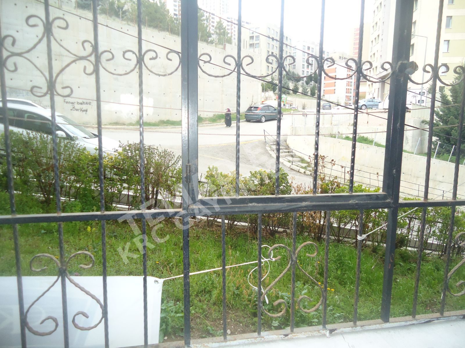 Fotoğraf