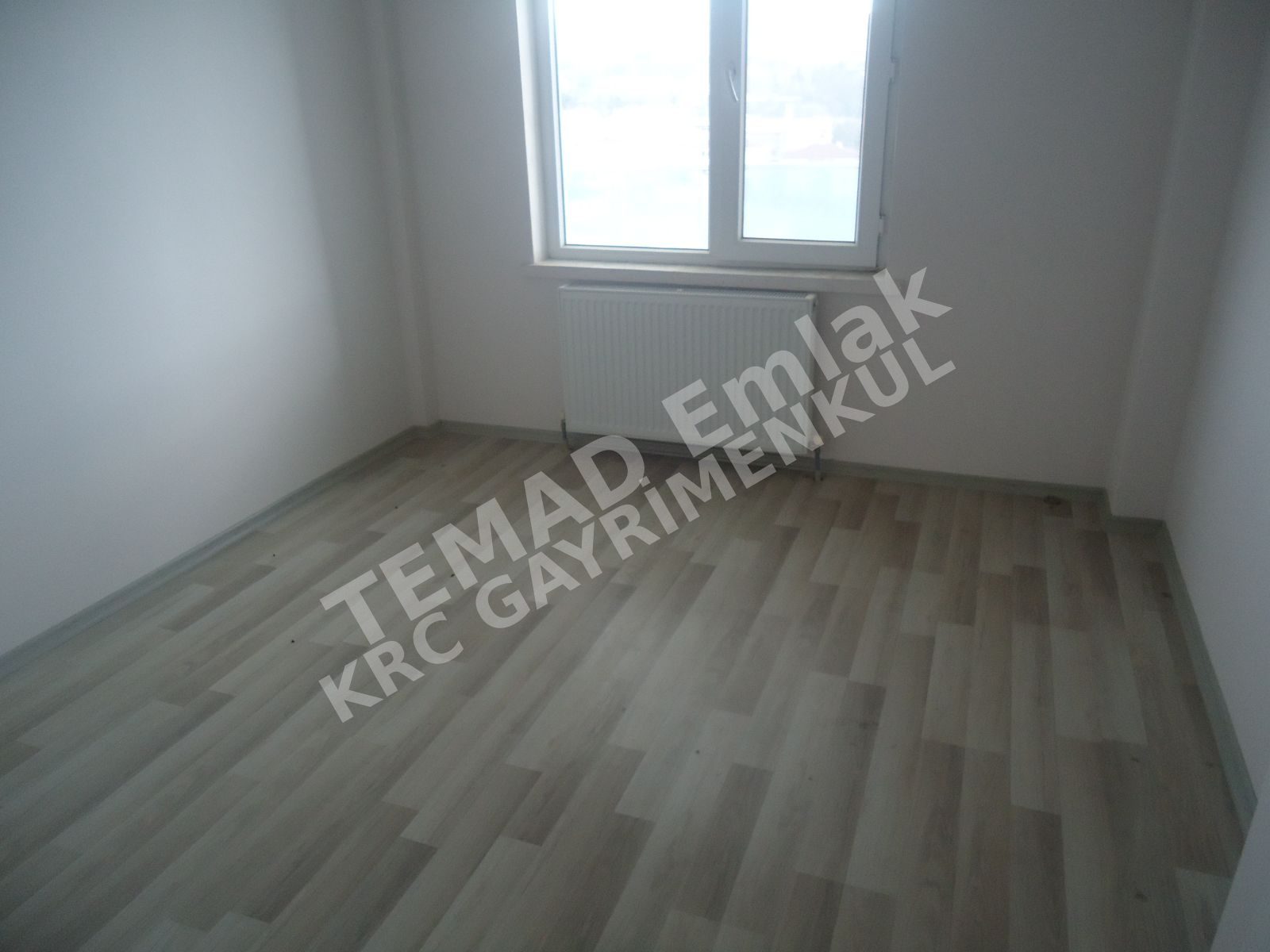 Fotoğraf