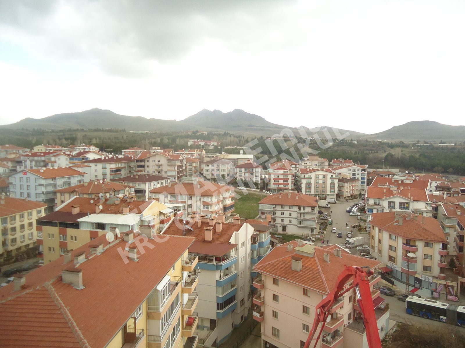 Fotoğraf