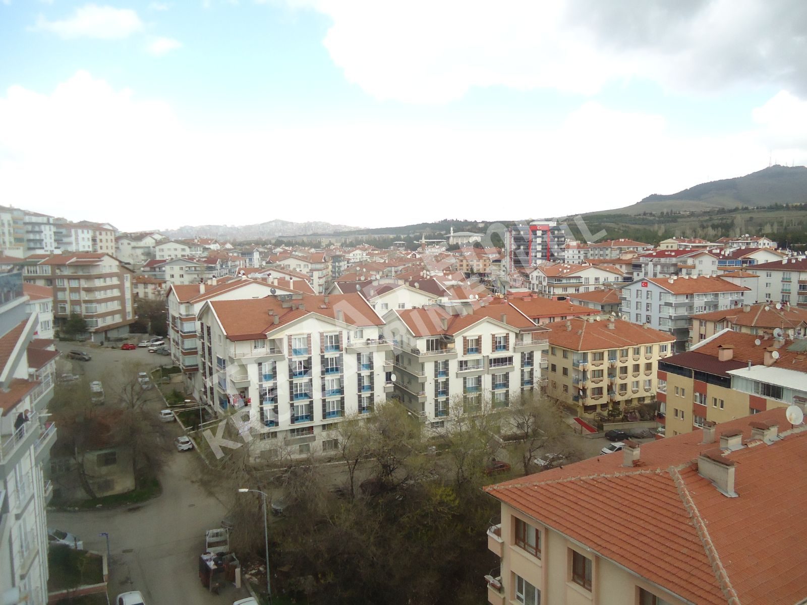 Fotoğraf