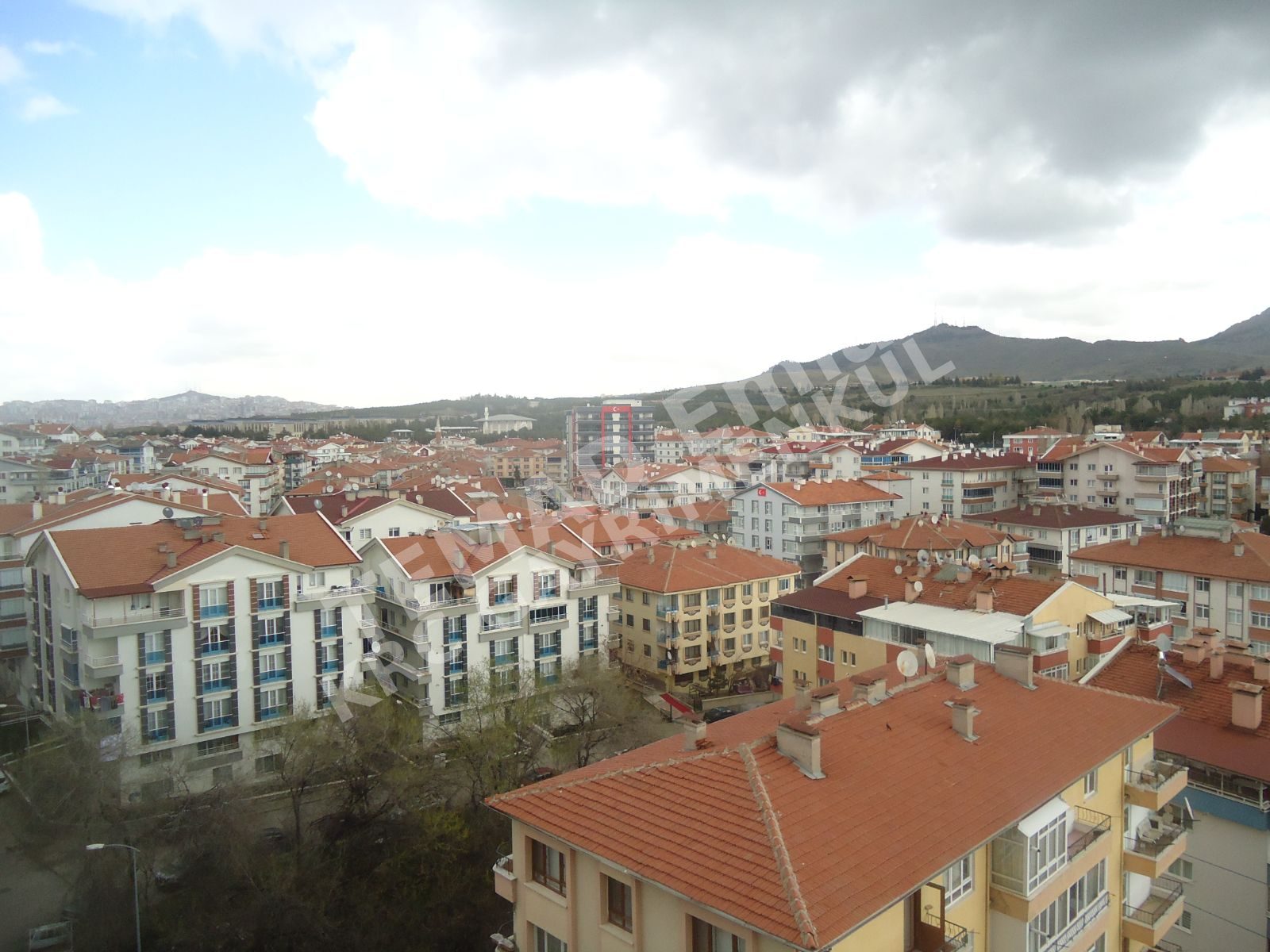 Fotoğraf
