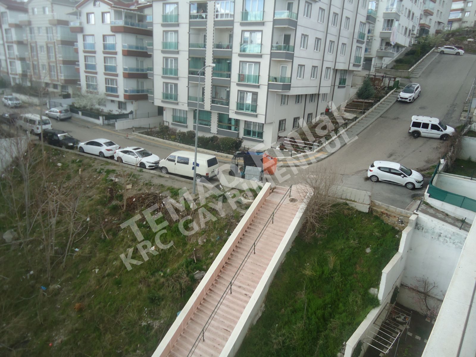 Fotoğraf